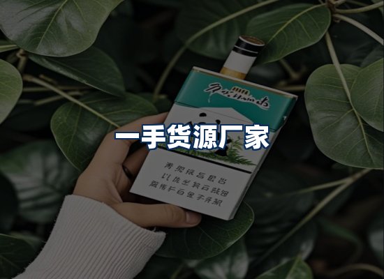专业团队办公环境